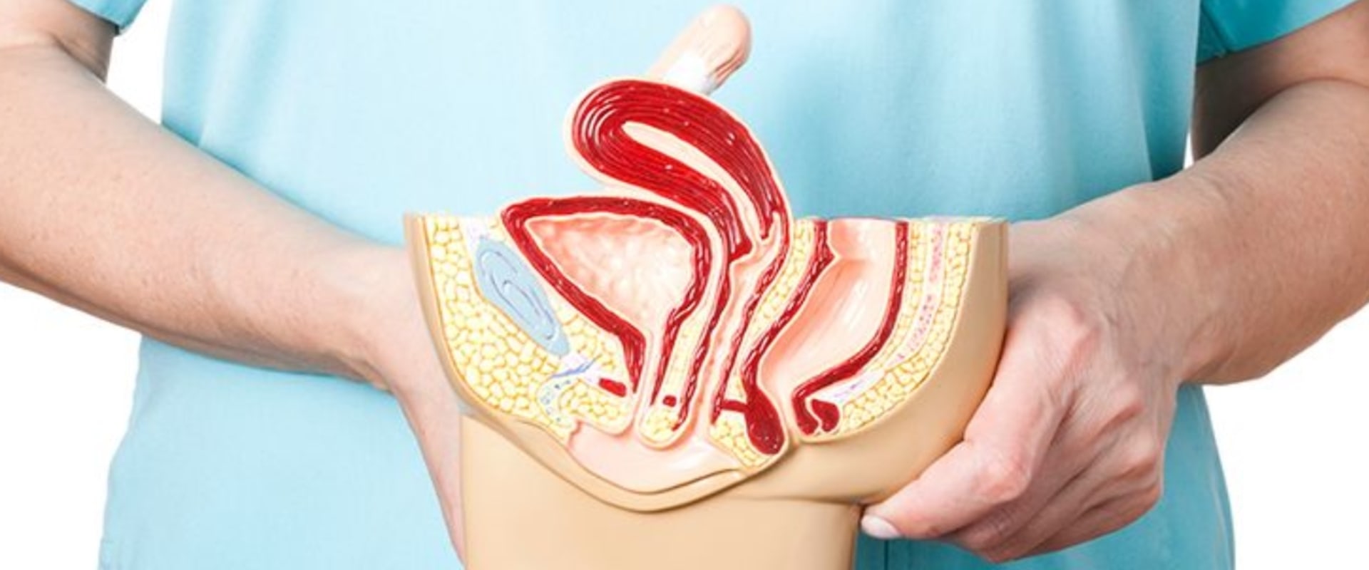 Cómo engrosar los labios mayores de la vagina?